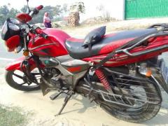 Zaara 100